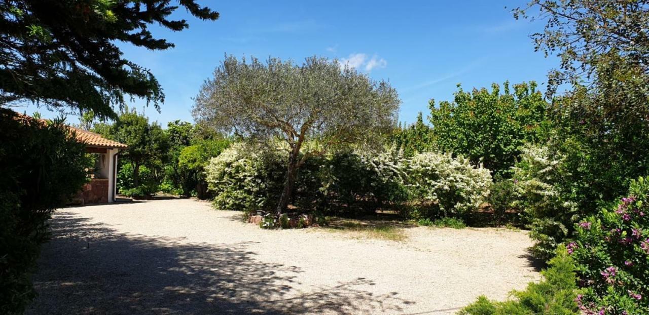 "Sa Domo De Sos Aranzos" Villa Santa Maria la Palma Buitenkant foto